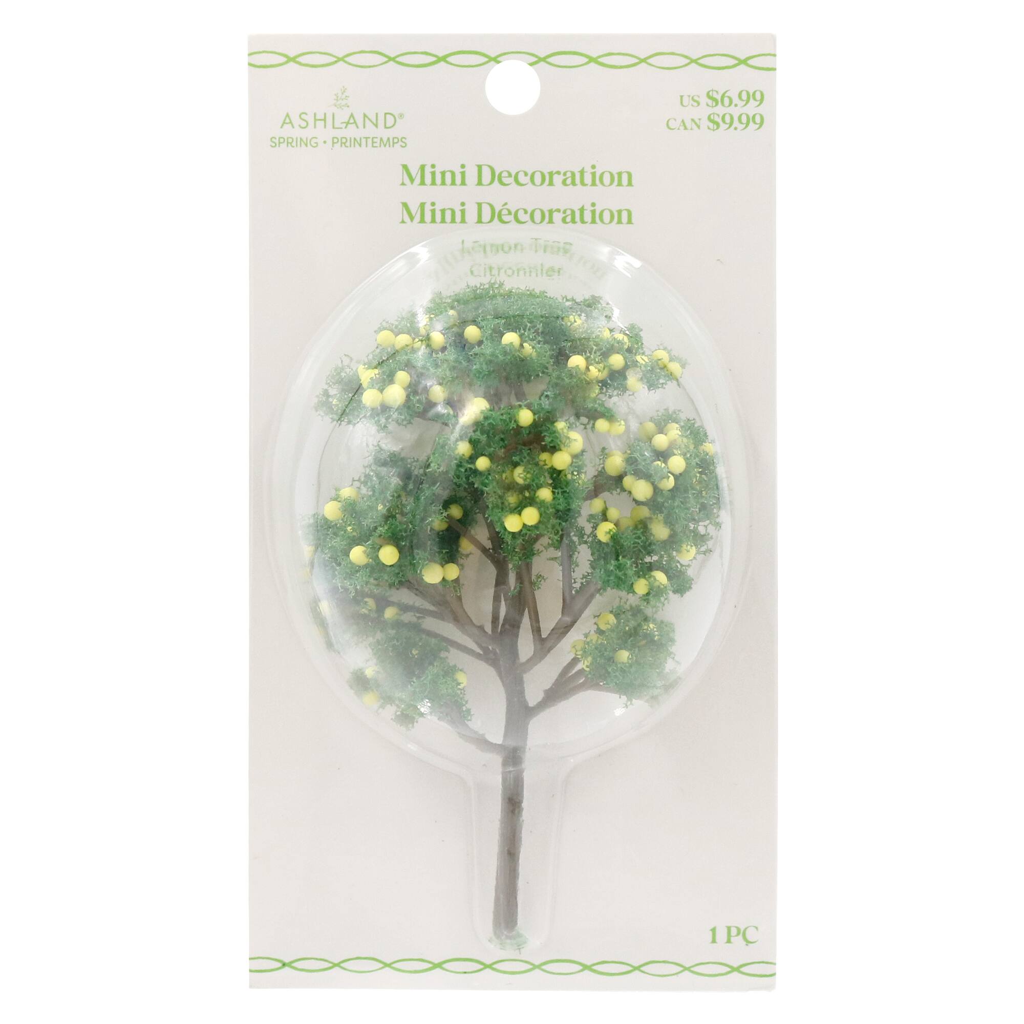Mini Lemon Tree by Ashland®